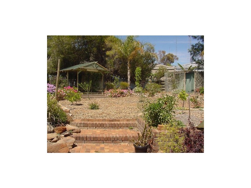 19 West Road, Waikerie SA 5330