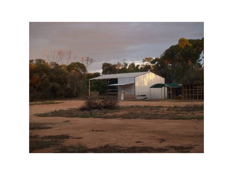 Sect 236 Sturt Highway, Waikerie SA 5330