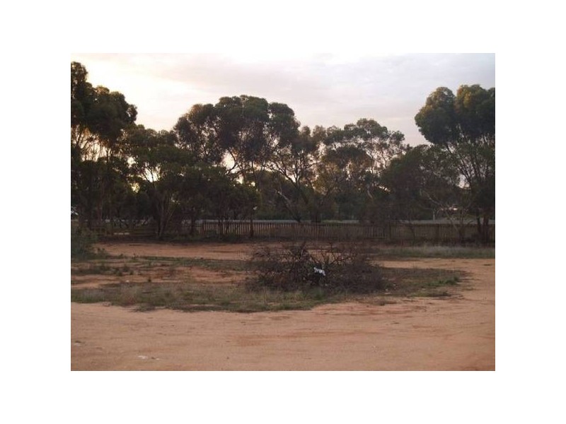 Sect 236 Sturt Highway, Waikerie SA 5330