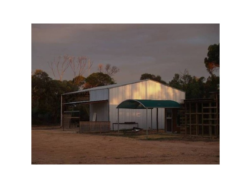 Sect 236 Sturt Highway, Waikerie SA 5330