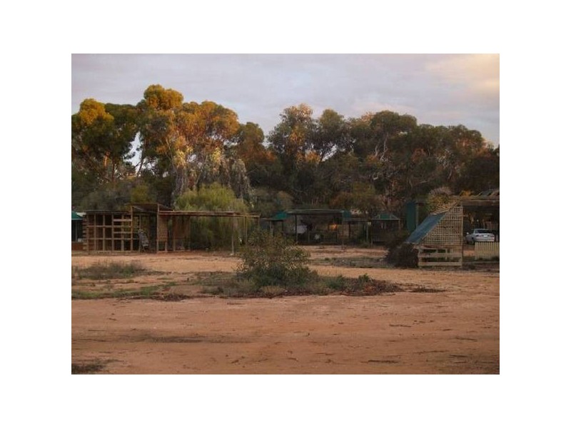 Sect 236 Sturt Highway, Waikerie SA 5330