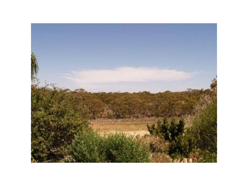 21 Second STREET, Morgan SA 5320
