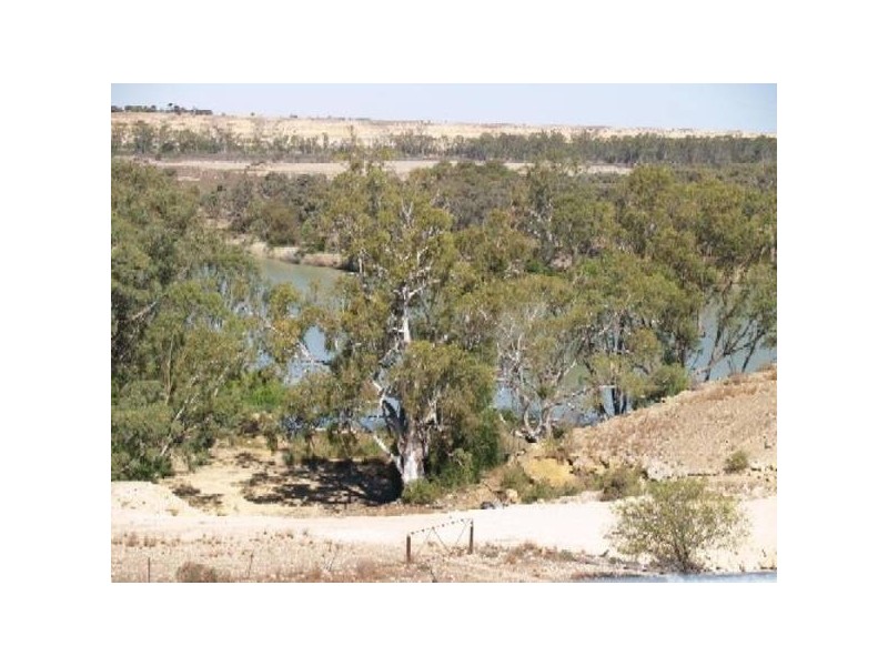 Lot 344 McBean Pound, Blanchetown SA 5357