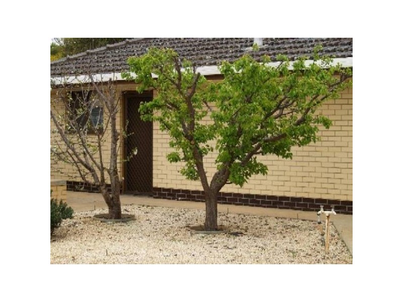 4 Miller STREET, Waikerie SA 5330