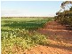 Lot 51 Hundred Of Waikerie, Sunlands SA 5322