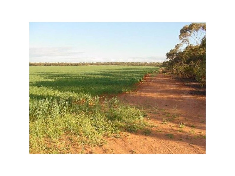 Lot 51 Hundred Of Waikerie, Sunlands SA 5322