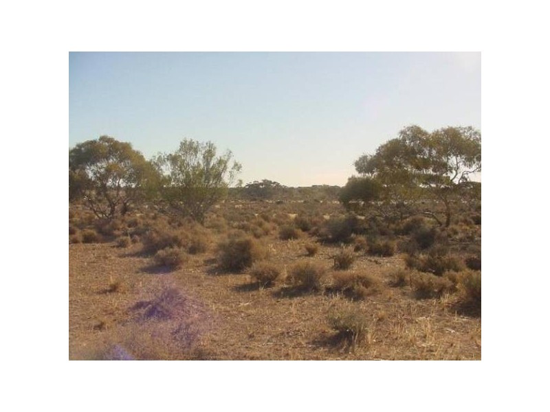 290 Hundred Of Eba, Morgan SA 5320