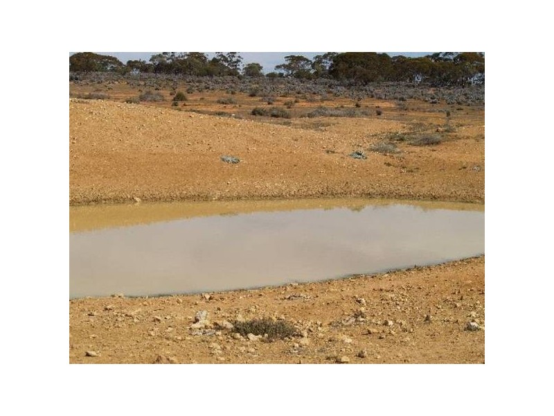 290 Hundred Of Eba, Morgan SA 5320