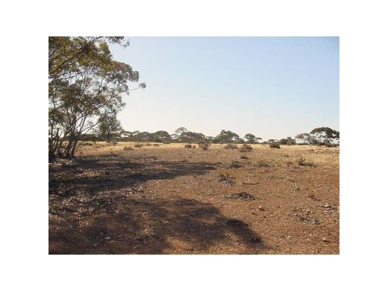 290 Hundred Of Eba, Morgan SA 5320