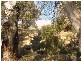 Lot 61 Idyll Acres Via, Morgan SA 5320