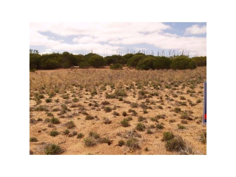 Lot 65 Ridgeway Estate, Murbko SA 5320