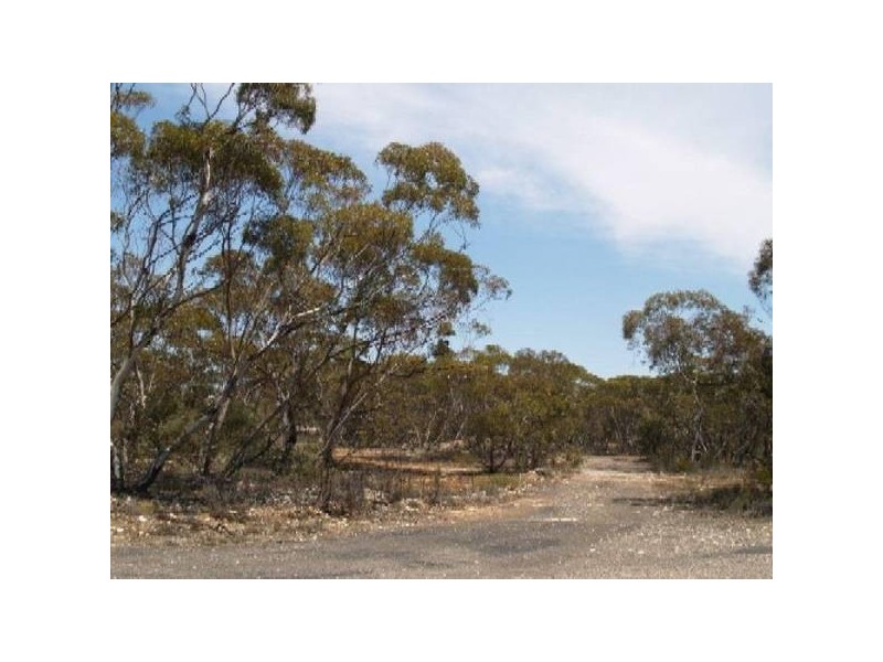 Lot 56 &57 High STREET, Alawoona SA 5311