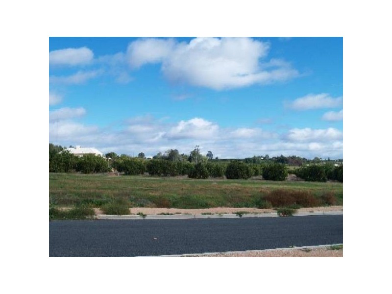 Lot 310 Mary Starr Drive, Waikerie SA 5330