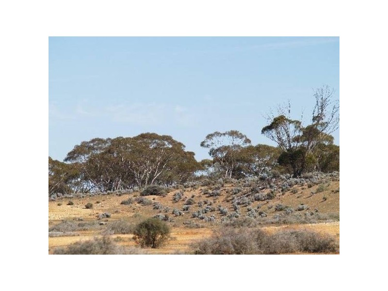 Sect 294 Hundred Of Eba, Morgan SA 5320