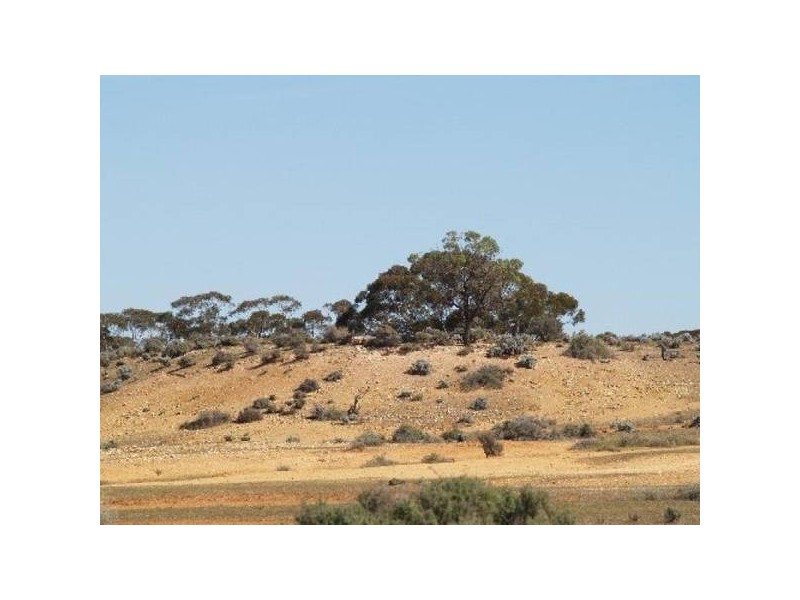 Sect 294 Hundred Of Eba, Morgan SA 5320