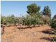 Lot 184 Hill Road, Sunlands SA 5322