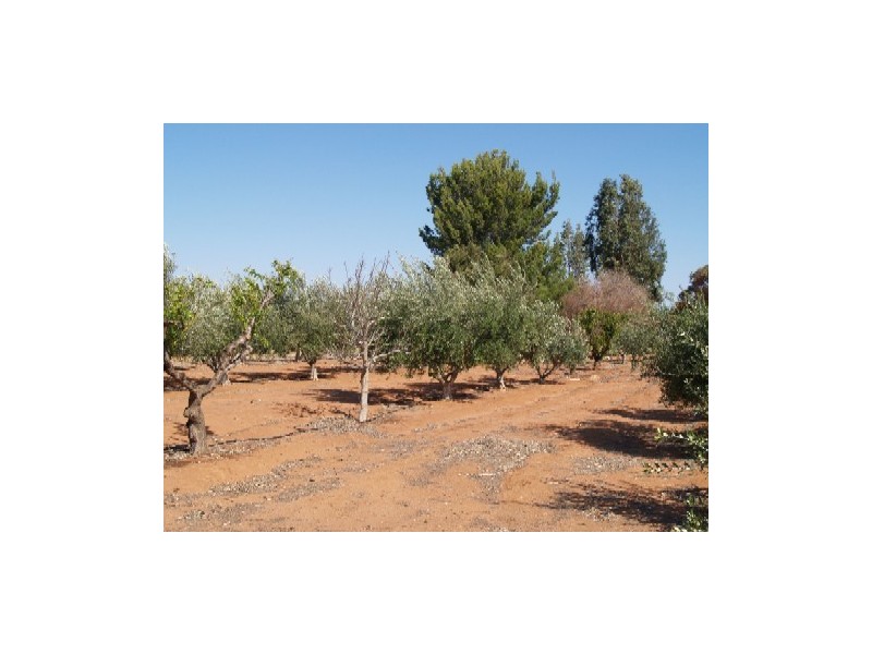 Lot 184 Hill Road, Sunlands SA 5322