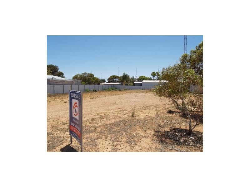 28 Riverview Terrace, Morgan SA 5320