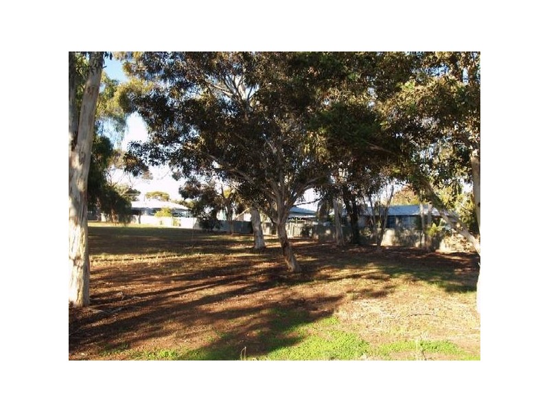 1 Dunning Street, Waikerie SA 5330