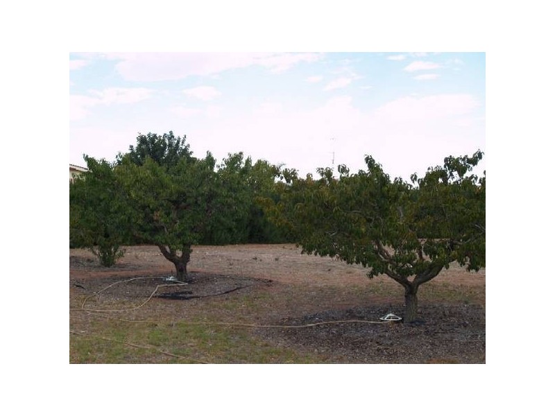 Lot 125 Cox Road, Sunlands SA 5322