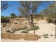 50 and 51 Idyll Acres, Morgan SA 5320