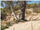50 and 51 Idyll Acres, Morgan SA 5320