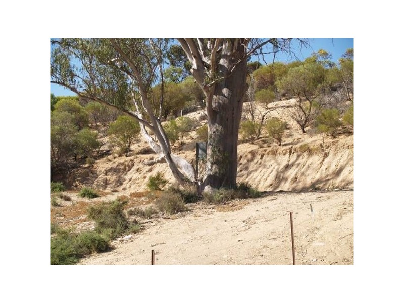 50 and 51 Idyll Acres, Morgan SA 5320