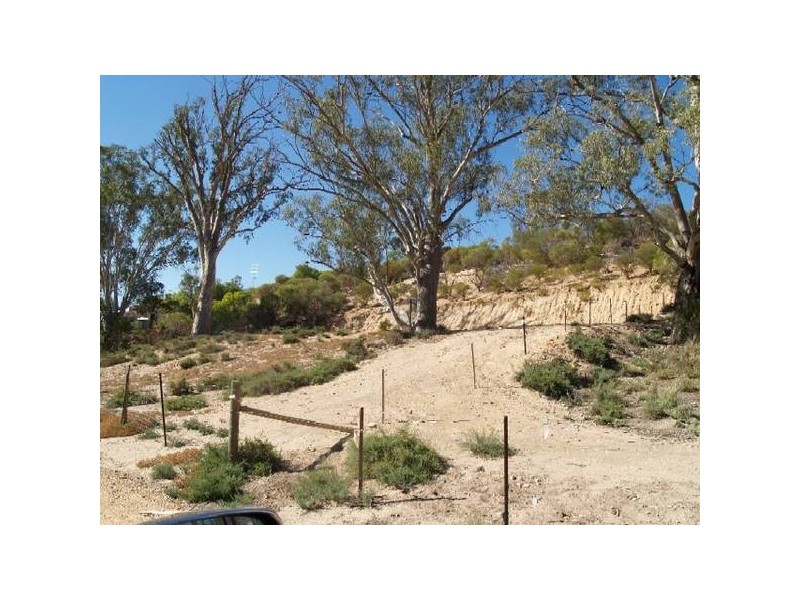 50 and 51 Idyll Acres, Morgan SA 5320