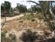 50 and 51 Idyll Acres, Morgan SA 5320
