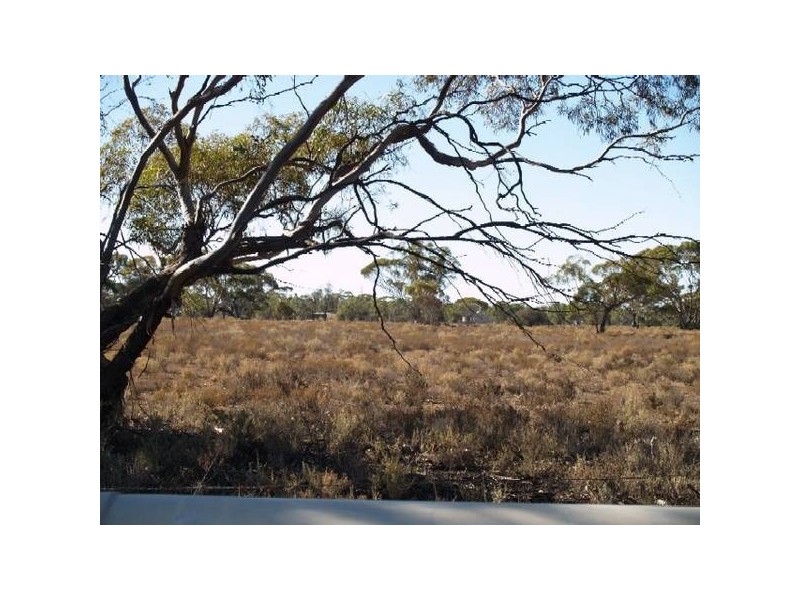 Lot 83 Pipeline Road, Swan Reach SA 5354