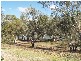 2 Apold Court, Pine Village via, Morgan SA 5320