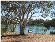 Lot 2 Idyll Acres, Morgan SA 5320