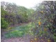 Lot 20 Playford Road, Sunlands SA 5322