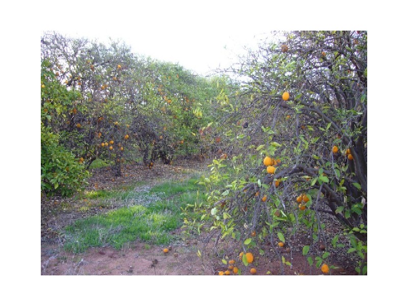 Lot 20 Playford Road, Sunlands SA 5322