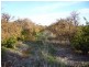 Lot 20 Playford Road, Sunlands SA 5322