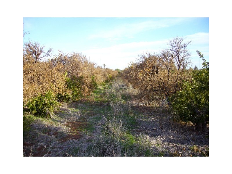 Lot 20 Playford Road, Sunlands SA 5322