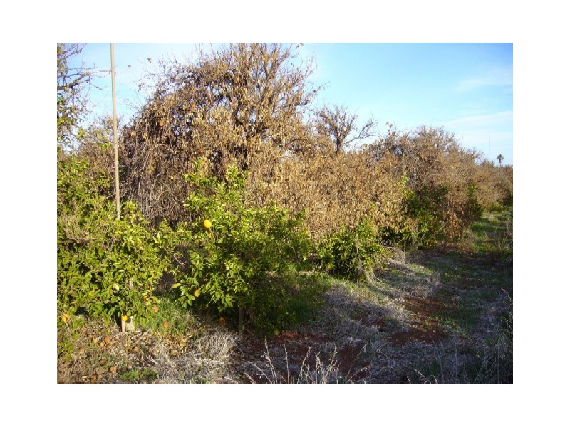 Lot 20 Playford Road, Sunlands SA 5322