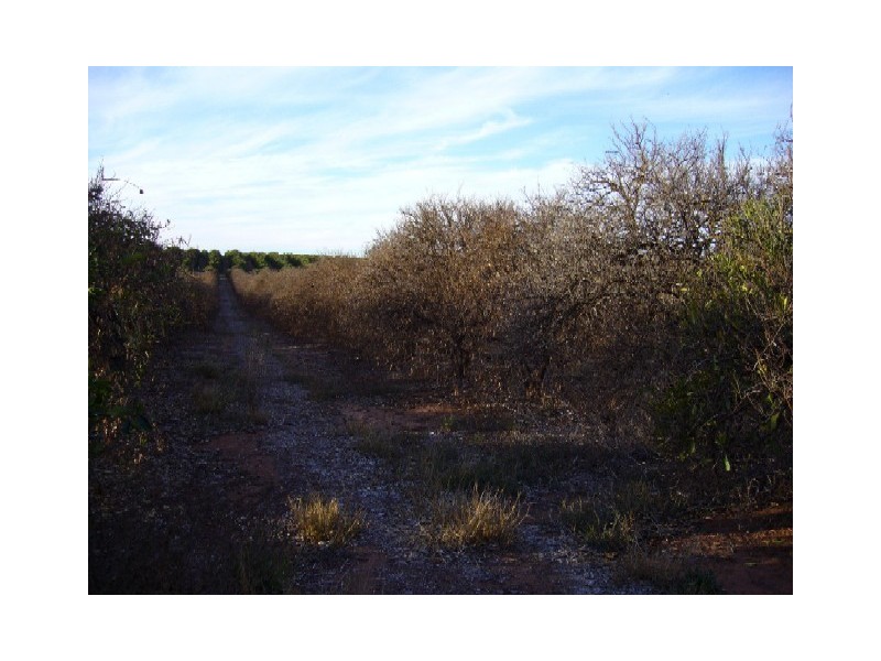 Lot 91 Playford Road, Sunlands SA 5322