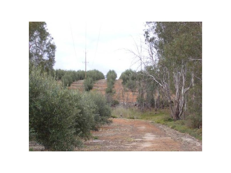 Lot 22 Carter Road Taylorville via, Waikerie SA 5330