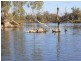 Lot 22 Carter Road Taylorville via, Waikerie SA 5330