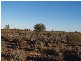 Sect 17 Hundred of Eba, Morgan SA 5320