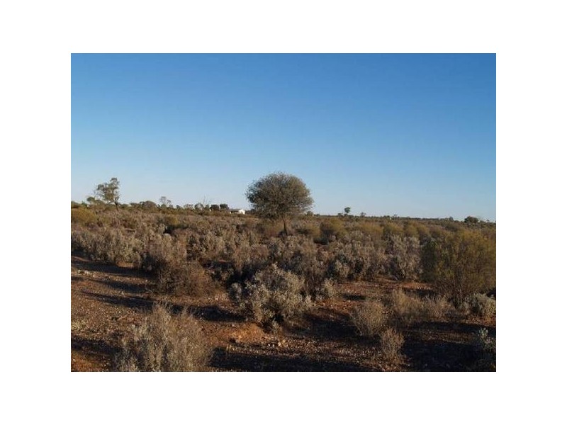 Sect 17 Hundred of Eba, Morgan SA 5320