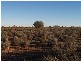 Sect 17 Hundred of Eba, Morgan SA 5320