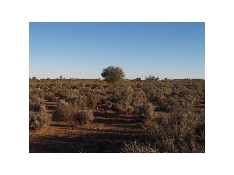 Sect 17 Hundred of Eba, Morgan SA 5320