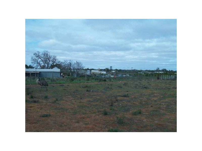 Lot 1 Checker Road, Waikerie SA 5330