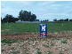 Corner of Vasey Road and Mattner Road, Waikerie SA 5330