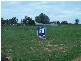 Corner of Vasey Road and Mattner Road, Waikerie SA 5330