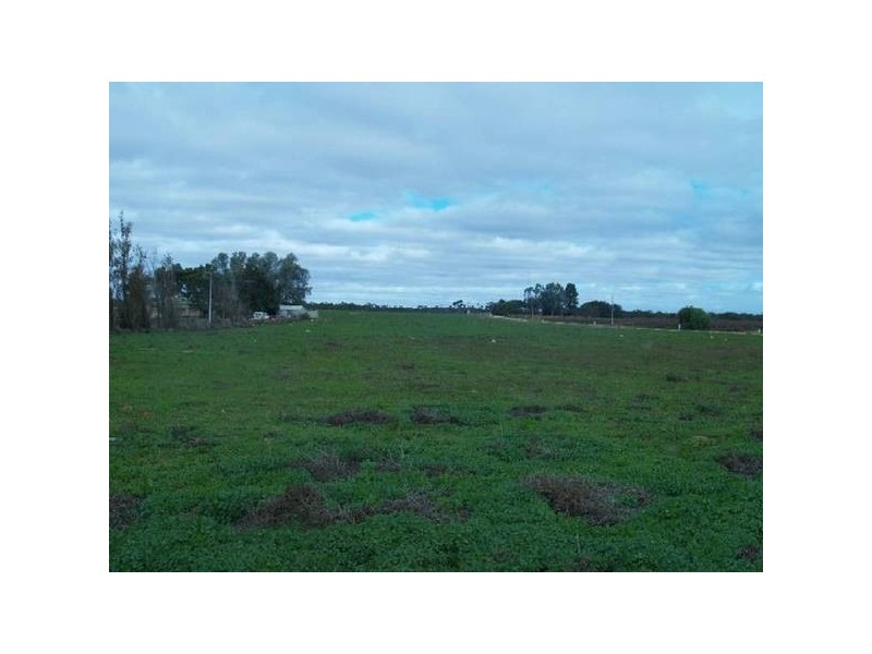 Corner of Vasey Road and Mattner Road, Waikerie SA 5330