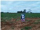 Corner of Vasey Road and Mattner Road, Waikerie SA 5330