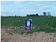 Corner of Vasey Road and Mattner Road, Waikerie SA 5330